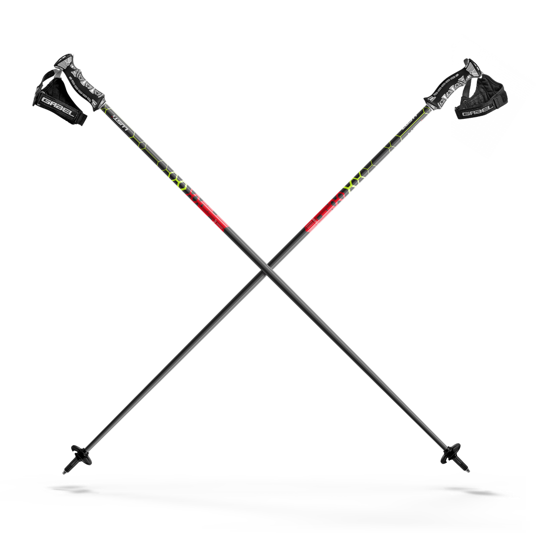 PERFORMANCE ski poles
