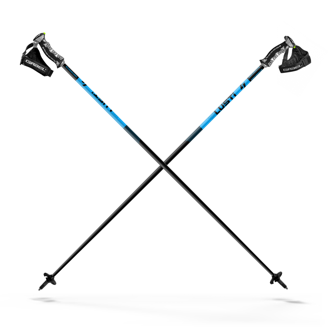 Ski poles PERFORMANCE BLUE