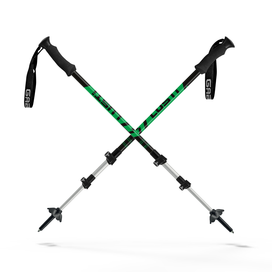 TREKKING ski poles